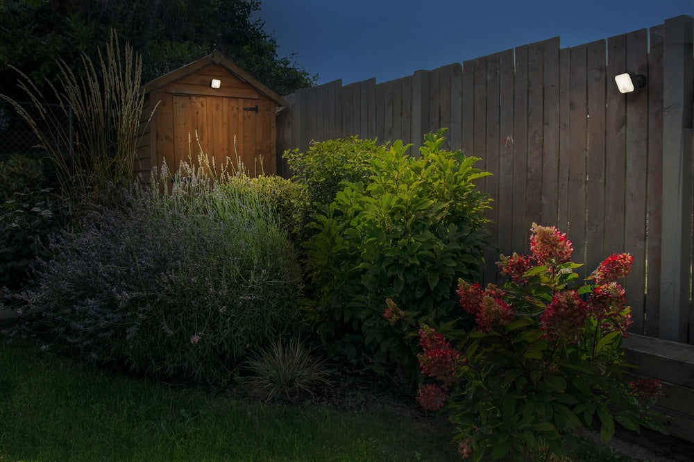 LED senzor – OSRAM